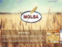 Tablet Screenshot of molsa.com.sv